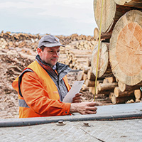 Kontrola dřeva na palety